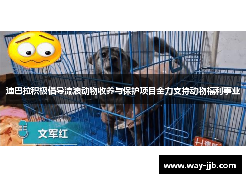 迪巴拉积极倡导流浪动物收养与保护项目全力支持动物福利事业