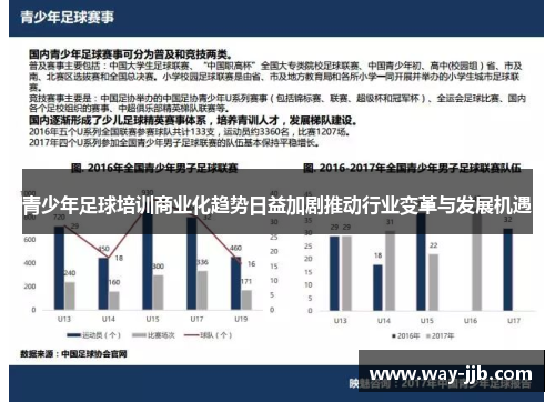 青少年足球培训商业化趋势日益加剧推动行业变革与发展机遇